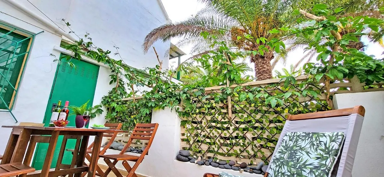 Ferienwohnung Green Palm In Costa Calma Apartmán